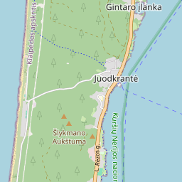 Žemėlapis - Neringos sav. Neringos m. Vėtrungių g. 358