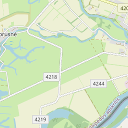 Žemėlapis - Šilutės r. sav. Rusnės mstl. Skirvytėlės g. 11A-4