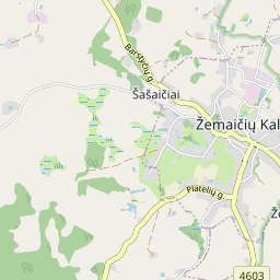 Map - Plungės r. sav. Žemaičių Kalvarijos mstl.