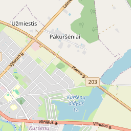 Карта - Šiaulių r. sav. Kuršėnų m. Rūtų g. 17