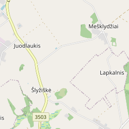 Žemėlapis - Kelmės r. sav. Rikantų k. Alyvų g. 3-3