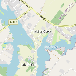 Žemėlapis - Šiaulių r. sav. Raizgių k. Salos g. 20