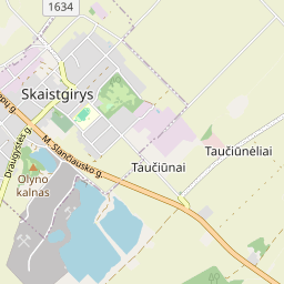 Žemėlapis - Joniškio r. sav. Skaistgirio mstl.