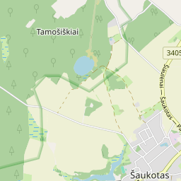 Map - Radviliškio r. sav. Šaukoto mstl. Tamošiškių g. 6