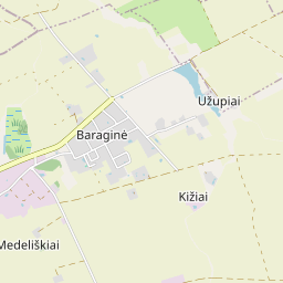 Map - Marijampolės sav. Baraginės k. Parko g. 12