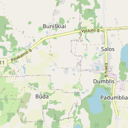 Žemėlapis - Lazdijų r. sav. Dumblio k. Ežerų g. 55