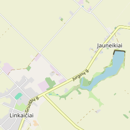 Žemėlapis - Joniškio r. sav. Jauneikių k. Jurginų g. 25