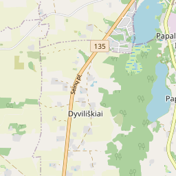 Žemėlapis - Lazdijų r. sav. Dyviliškių k.