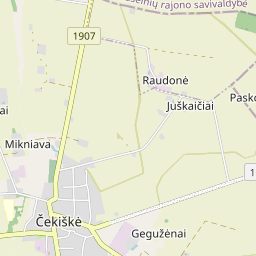 Žemėlapis - Kauno r. sav. Čekiškės mstl. Dubysos g. 1