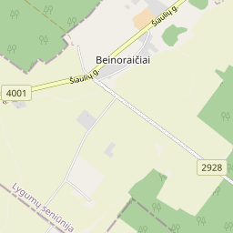Žemėlapis - Pakruojo r. sav. Beinoraičių k. Pievų g. 2