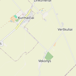 Žemėlapis - Joniškio r. sav. Vekonių k.