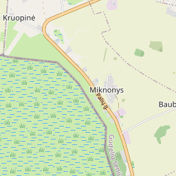 Žemėlapis - Marijampolės sav. Miknonių k. Palių g. 40