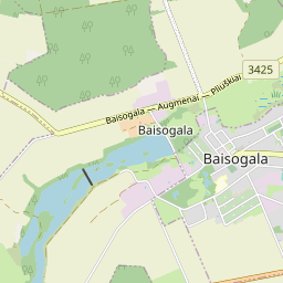 Map - Radviliškio r. sav. Baisogalos mstl. Grinkiškio g. 9-405