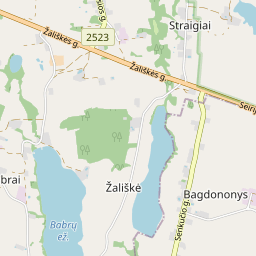 Map - Lazdijų r. sav. Bagdononių k.