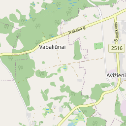 Map - Lazdijų r. sav. Avižienių k. Morkavo g. 29