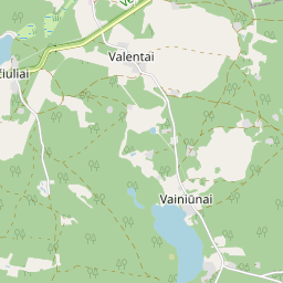 Žemėlapis - Lazdijų r. sav. Vainiūnų k.