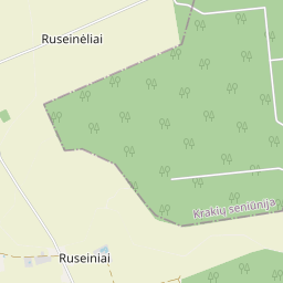 Žemėlapis - Kėdainių r. sav. Ruseinėlių k.