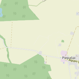 Žemėlapis - Kauno r. sav. Piepalių k. Eglynų g. 20