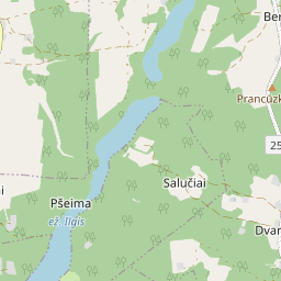 Žemėlapis - Lazdijų r. sav. Dvarčiškės k. 12