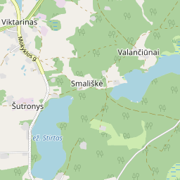 Žemėlapis - Lazdijų r. sav. Viktarino k. Mokyklos g. 11