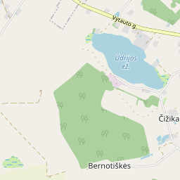 Žemėlapis - Alytaus r. sav. Čižikų k.