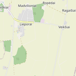 Žemėlapis - Joniškio r. sav. Lieporų k. Raisto g. 6