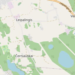 Žemėlapis - Druskininkų sav. Leipalingio mstl. Vytauto g. 41D