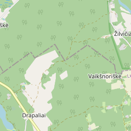 Žemėlapis - Lazdijų r. sav. Žilvičių k.