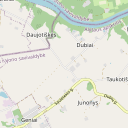 Žemėlapis - Alytaus r. sav. Dubių k. Nemuno g. 2A