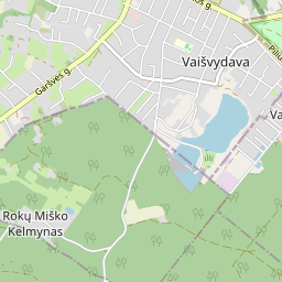 Map - Kauno m. sav. Kauno m. Dvareliškių g. 10