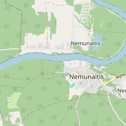 Map - Alytaus r. sav. Nemunaičio mstl. Vytauto g. 42