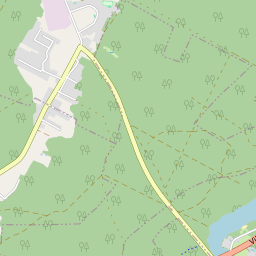 Žemėlapis - Druskininkų sav. Viečiūnų mstl.