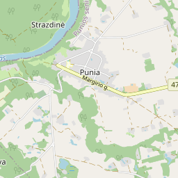 Žemėlapis - Alytaus r. sav. Punios k. Kauno g. 3