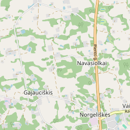 Žemėlapis - Alytaus r. sav. Vaisodžių k. Raižių g. 9-8