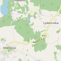 Žemėlapis - Alytaus r. sav. Makniūnų k. Dzūkų g. 11