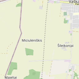 Žemėlapis - Pasvalio r. sav. Vaškų mstl. Kultūros g. 3-8