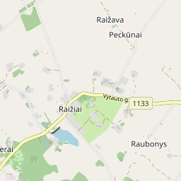 Žemėlapis - Alytaus r. sav. Raižių k.