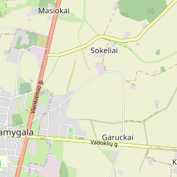 Map - Panevėžio r. sav. Ramygalos m. Parko g. 2A-1