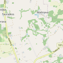 Žemėlapis - Prienų r. sav. Stakliškių k. Alyvų g. 3