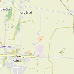 Žemėlapis - Pasvalio r. sav. Kalno k.