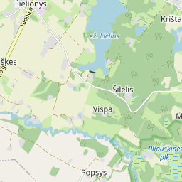 Žemėlapis - Prienų r. sav. Lielionių k.