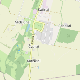 Žemėlapis - Panevėžio r. sav. Kutiškių k. 10