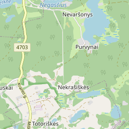 Map - Trakų r. sav. Totoriškių k. Miško g. 10-4