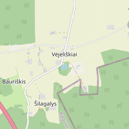 Map - Panevėžio r. sav. Vėjeliškių k. 10