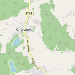 Žemėlapis - Varėnos r. sav. Kareivonių k.