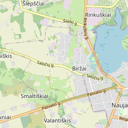 Žemėlapis - Biržų r. sav. Biržų k. Liepų g. 33-2