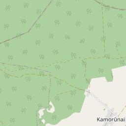 Map - Varėnos r. sav. Kamorūnų k.