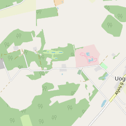 Žemėlapis - Kupiškio r. sav. Uoginių k.