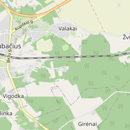 Žemėlapis - Kupiškio r. sav. Subačiaus m. Gintaro g. 4