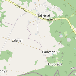 Žemėlapis - Kaišiadorių r. sav. Našlėnų k.